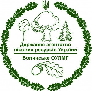 логотип-4
