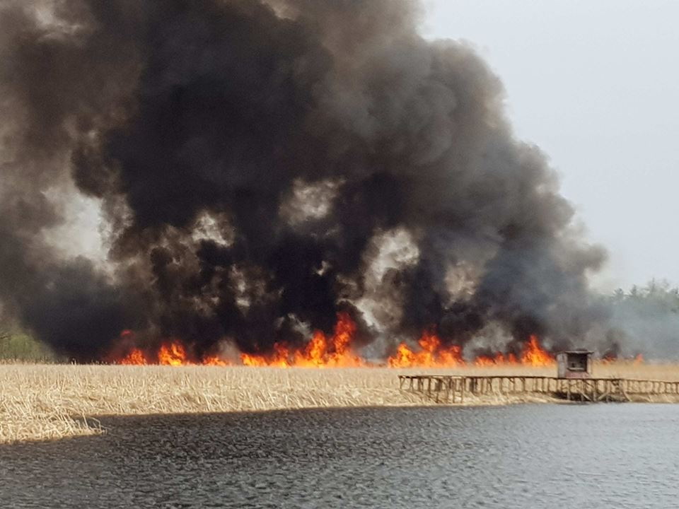 Вогняна стихія вирувала кілька годин. Фото з сайту nfomist.ck.ua