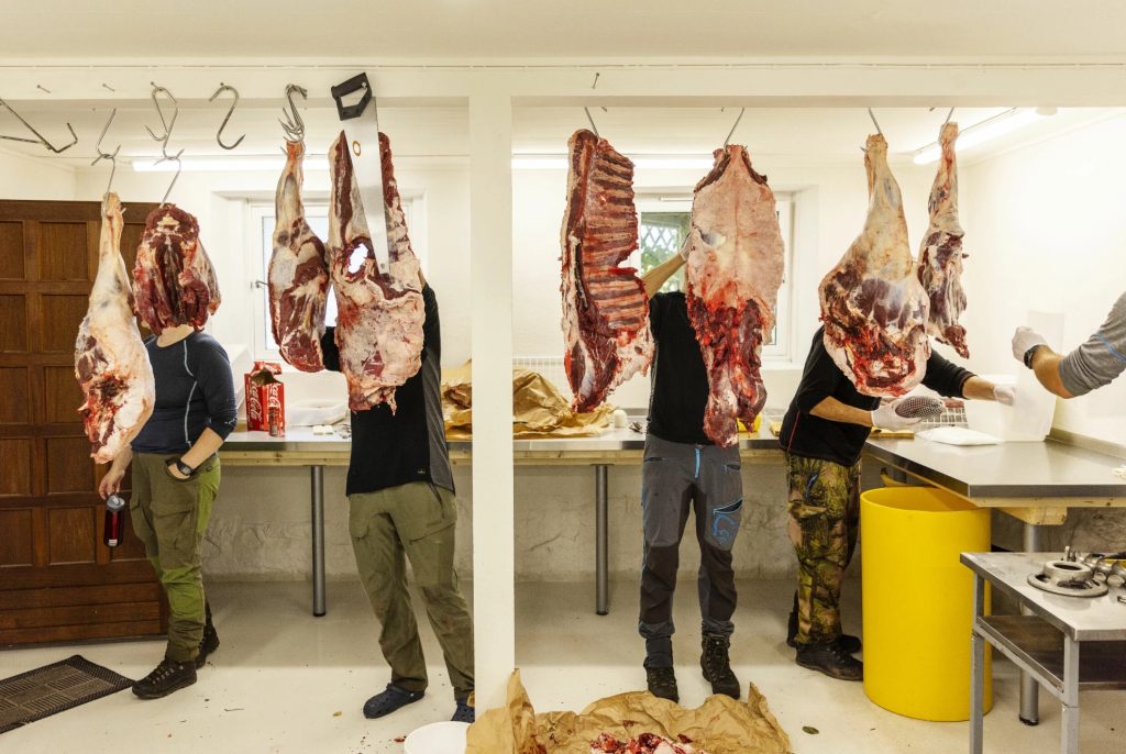 Продаж м'яса дичини по-норвезьки