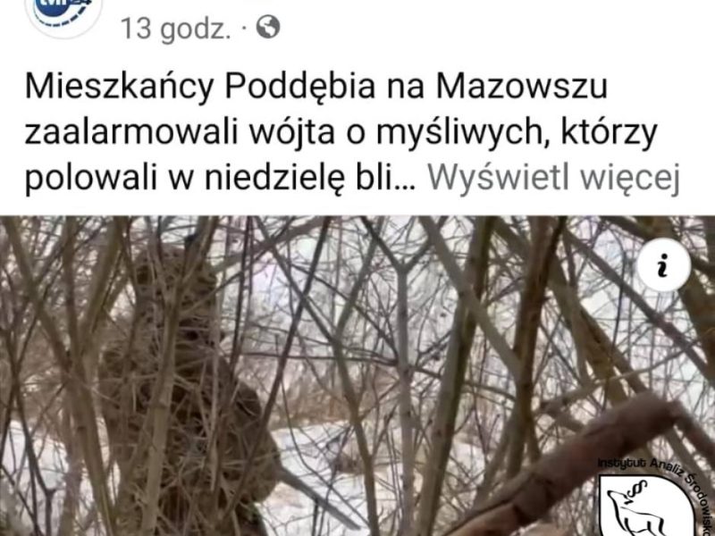 Провокація під час полювання в Польщі: мер намагався дискредитувати мисливців
