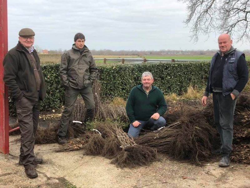 Мисливці у Фландрії висадили 34 тис. дерев і кущів