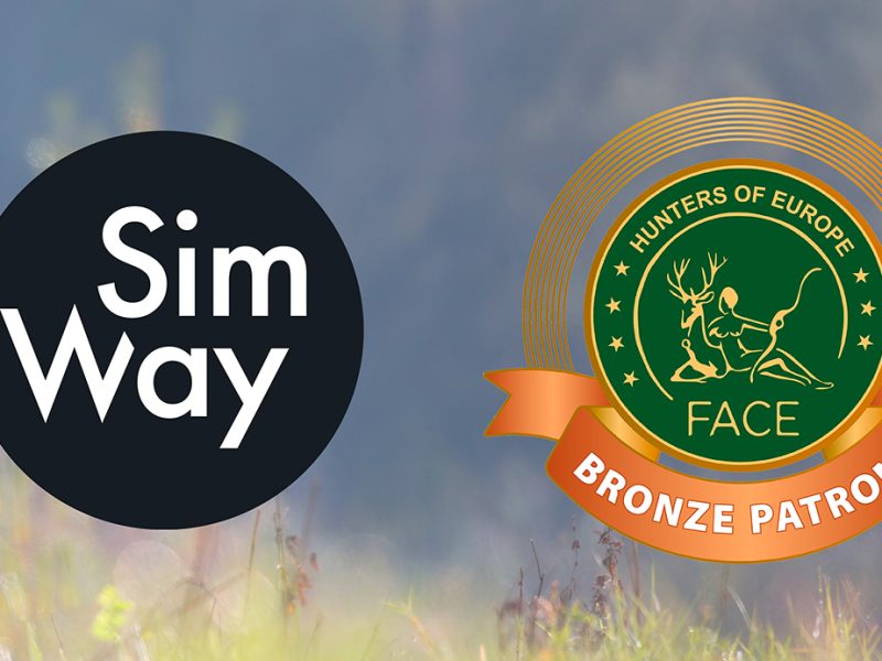 SimWay приєднався до спонсорської програми FACE