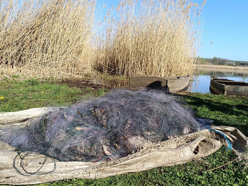 Рибоохоронці викрили браконьєрів, які завдали збитків на понад 2,2 млн грн