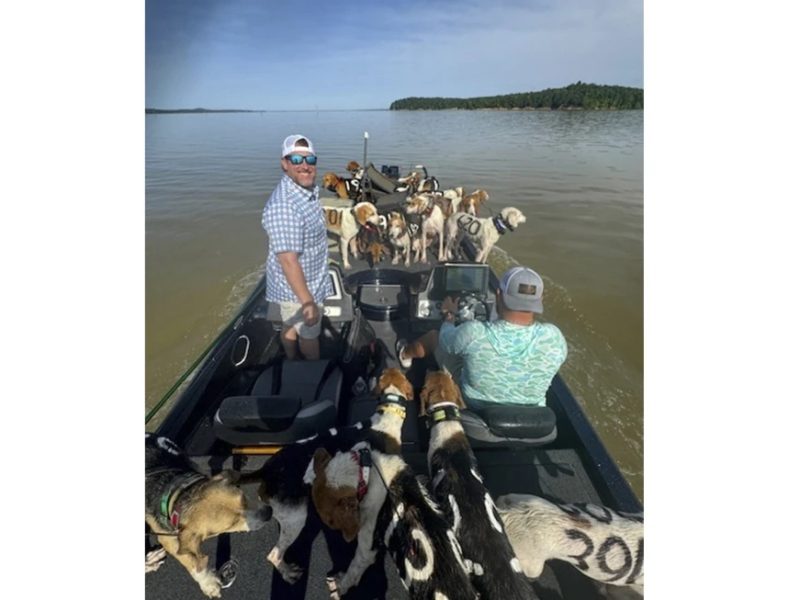 Рибалки врятували 38 мисливських собак від утоплення в озері Міссісіпі