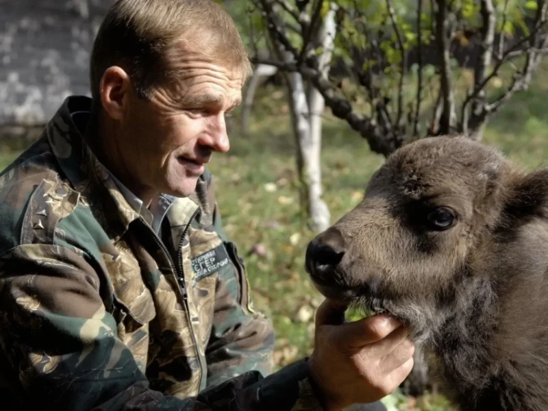 Вінницький єгер розповів про наслідки заборони полювання для місцевих лісів