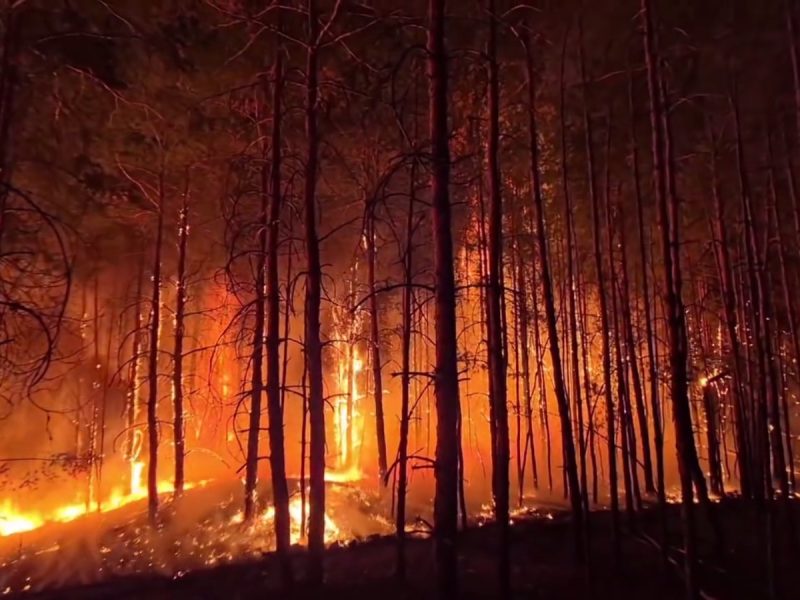 У лісах України триває ліквідація 21 масштабної пожежі (ВІДЕО)