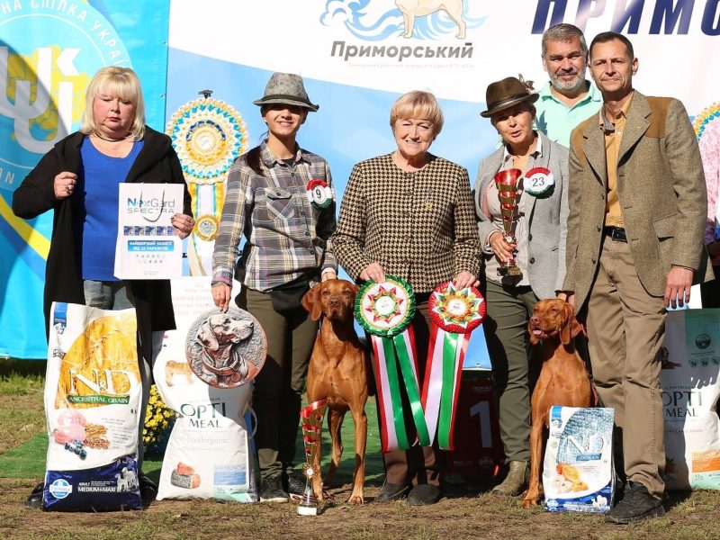 Перша в Україні монопородна виставка угорської короткошерстої вижли пройшла в Одесі