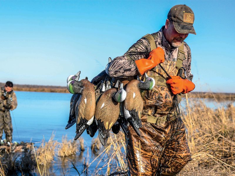 Мисливці Ducks Unlimited створили ідеальну схему розстановки манків для полювання на качок