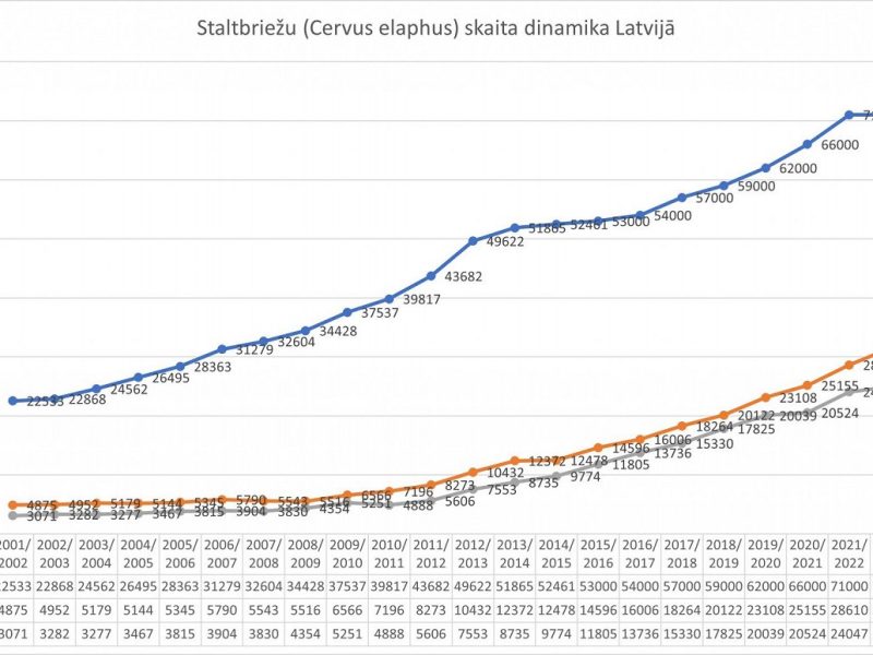 68 тисяч оленів завдають мільйонних збитків фермерам Латвії