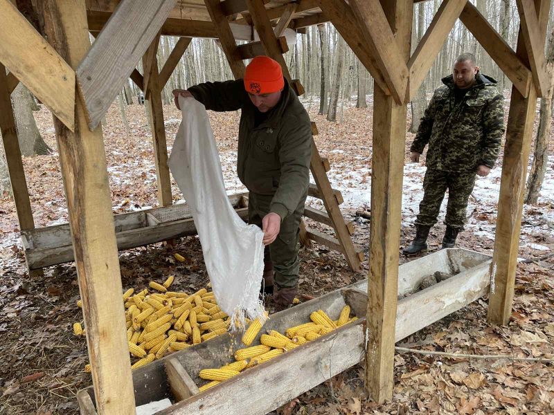 Понад 40 тонн кормів заготовила одна з філій лісгоспу для підгодівлі диких тварин