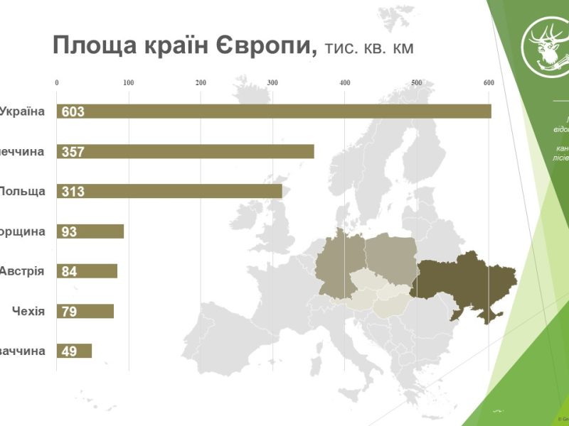 Науковці оцінили потенціал мисливського господарства України в порівнянні з Європою