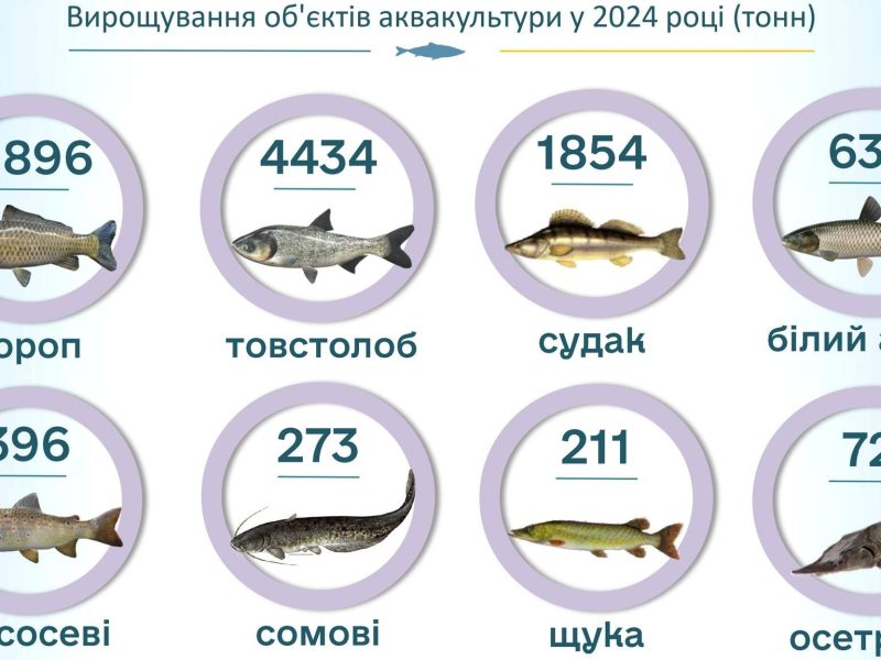 Виробництво продукції аквакультури в Україні зросло на 22% у 2024 році