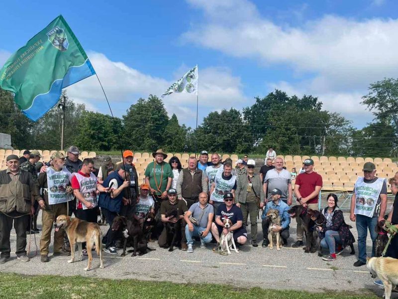 На Кіровоградщині відбулася виставка мисливських собак з 53 учасниками