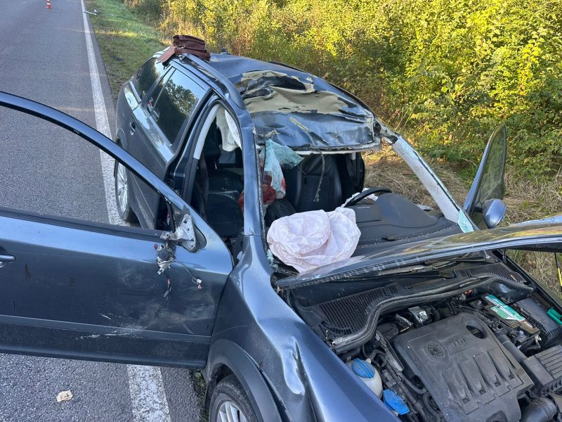Смертельна ДТП з лосем на Львівщині забрала життя 63-річного пасажира