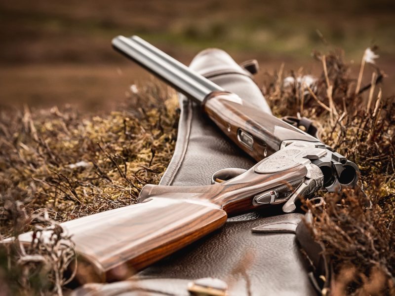 У Житомирі відбудеться мисливський фестиваль