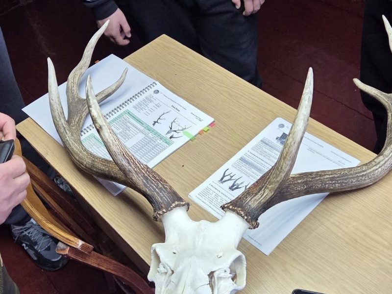 У Поліському національному університеті студентів навчають оцінювати мисливські трофеї за міжнародною системою