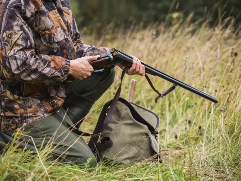 На Київщині дозволили відстріл лисиць та вовків через загрозу сказу