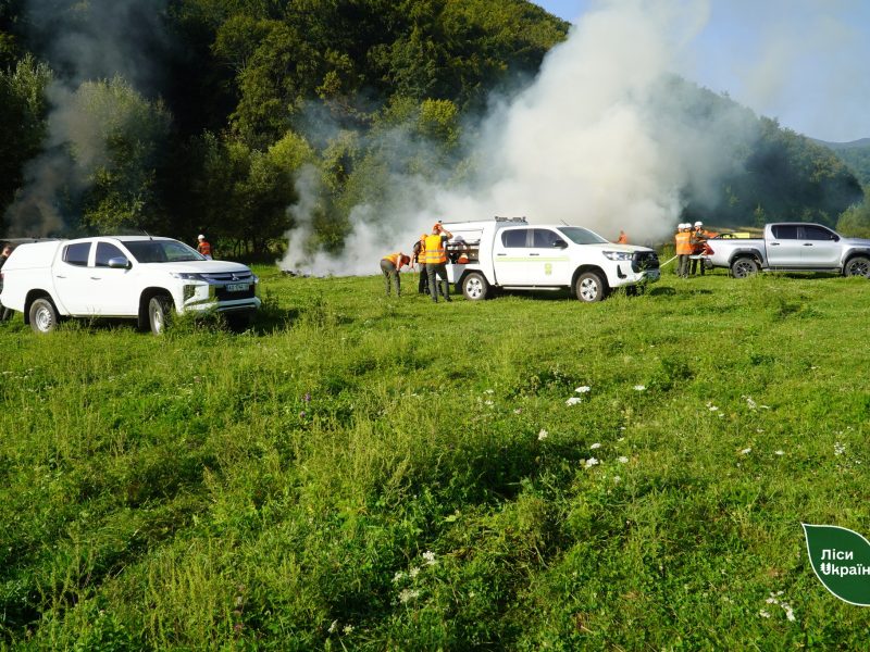 У лісовому фонді філії «Карпатський лісовий офіс» зафіксовано 46 пожеж на площі понад 147 гектарів