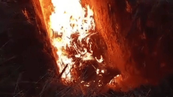 На Тернопільщині підтверджено новий випадок африканської чуми свиней