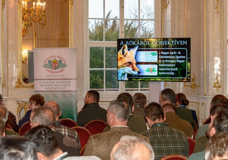 Угорці провели конференцію про реальні загрози від лисиць