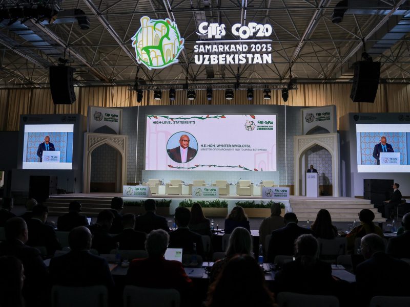 Ботсвана продовжить трофейне полювання попри тиск природоохоронних організацій