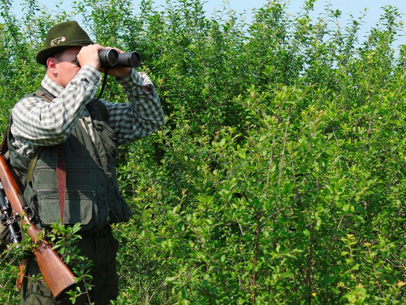 FACE прийняла позицію щодо мисливського туризму в Європі