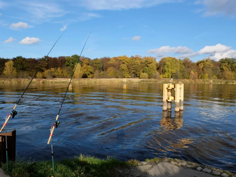 Фідерні вудлища: мистецтво точного кидка та результативної риболовлі