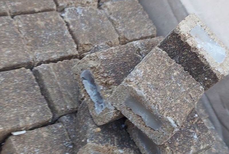 На Івано-Франківщині триває вакцинація диких тварин: розкидають 228 тисяч доз проти сказу
