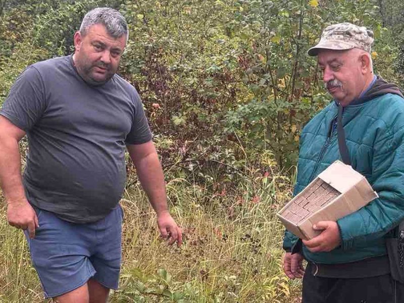 На Виноградівщині розклали вакцинні принади проти сказу на території 12 тисяч гектарів